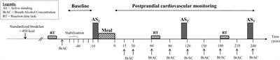 Cardiovascular and Orthostatic Responses to a Festive Meal Associated With Alcohol in Young Men